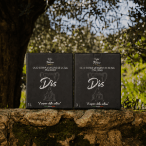 2 Bag in Box Dìs da 3 litri