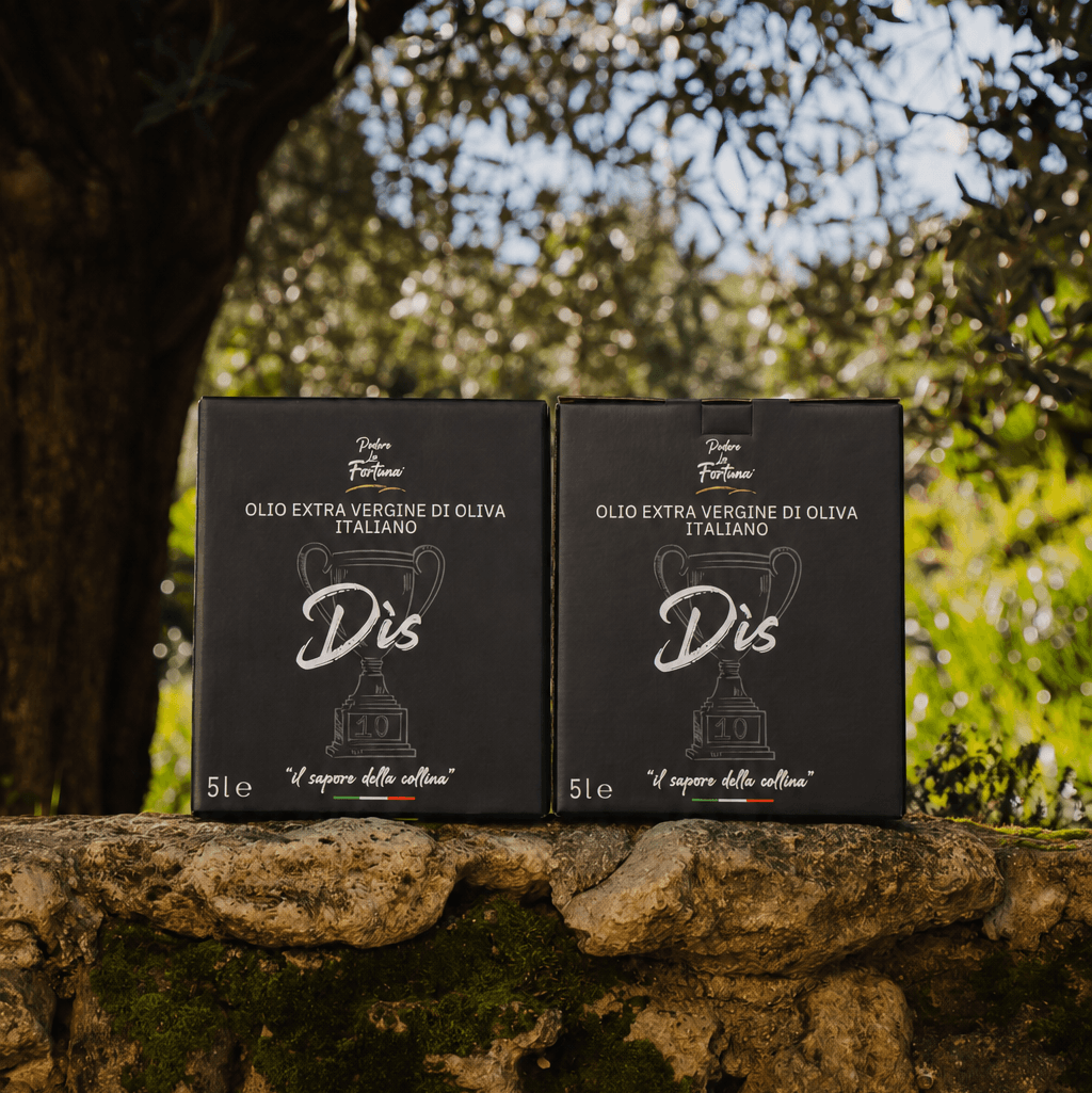 Box 2 BIB Dìs da 5 Litri